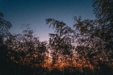 _DSF0909