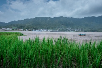 C82D6CC6-E623-41CF-A9C5-C8CEFF02359E/L0/001