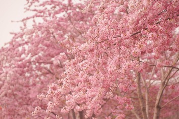 5B5A8866-AE5C-433B-AD16-BDAF7FF09C52/L0/001