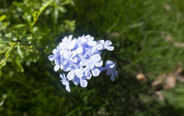 C440AA72-F553-43A3-8057-BD46938EEB93/L0/001