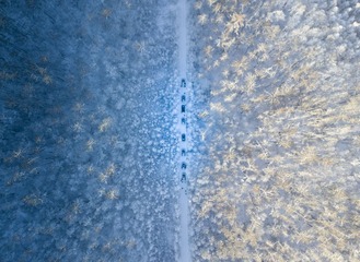 439364