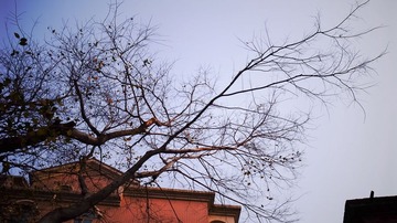R1065024.jpg