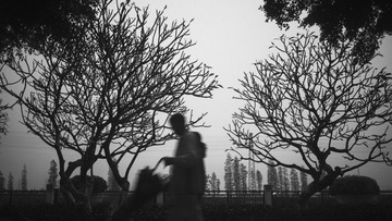 IMG_0454-编辑.jpg