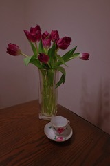 DC0FD26F-2885-42B6-9E5C-B663608DD1E5/L0/001