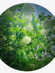 2481F029-B80B-4E88-A080-3E9EF3BCD284/L0/001