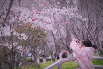 9F048B24-A30F-4EF6-B8FD-6DD8BE5D9ADD/L0/001