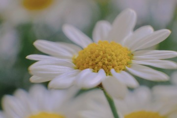 D374D1B5-BCC6-4F17-B94D-3B0E1ABA2C04/L0/001
