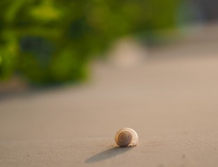1758865