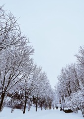 8F7F33D9-3158-44DA-8DE3-B5E5085589AF/L0/001