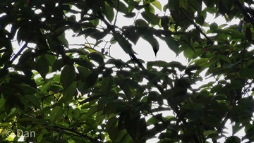 6E0B7DA0-70CC-49C7-8C3A-E686ABA1C139/L0/001