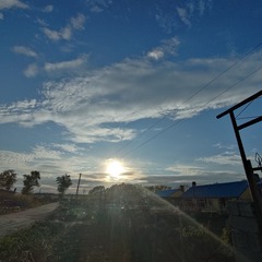 1001185336