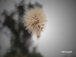 IMG_1430_