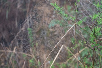 BF0218CD-D5F8-4F8D-AEFA-D69425F353AA/L0/001