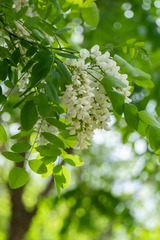 8B840B30-7815-4C67-B60F-FE04B6920B1A/L0/001