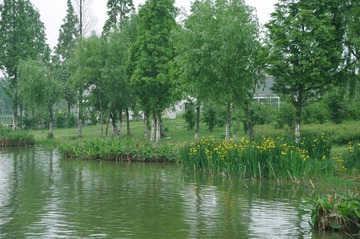 CSC_0259.JPG