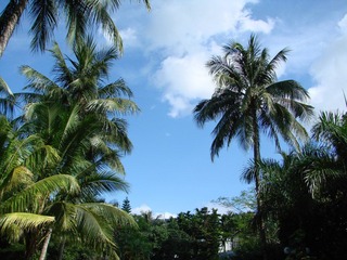 DSC00953.JPG
