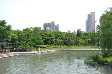 DSC_0010.JPG