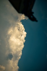 1000010335