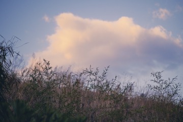 373740