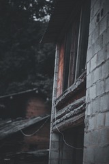1000011291