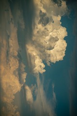 1000010331