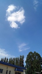 DSC00283.jpg