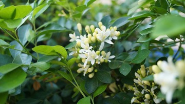 DSC00292副本.jpg