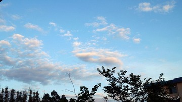 DSC00297副本.jpg