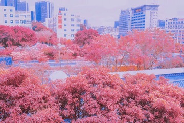 0CE139D2-BE8C-4F9B-9EE3-BD7375FA5F8A/L0/001