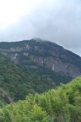 507803