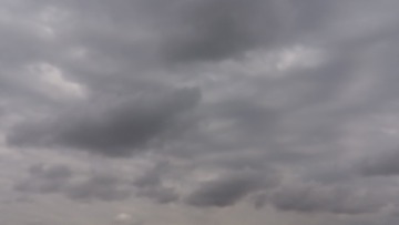 1144621