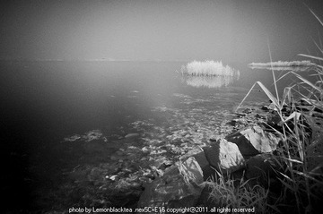 nEO_IMG_DSC05564.jpg