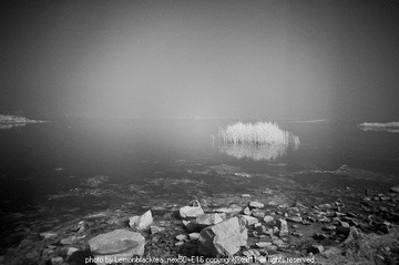 nEO_IMG_DSC05562.jpg