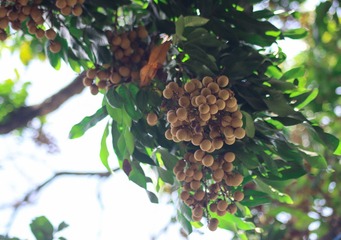 DD0D0E46-D61B-477C-B3D4-EFECE61E7A29/L0/001