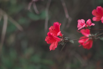 8B371075-22CE-4F6D-891B-BD57A1338F4B/L0/001