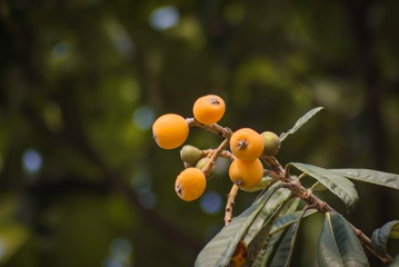 A7960DD0-E2CF-4EE1-8A62-E0F6C0D8B8E6/L0/001