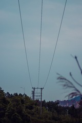 0AC069FB-D3FB-4386-A1A5-6014B09F4D63/L0/001