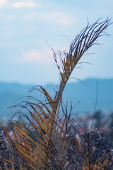 5BE76955-F792-4CBF-B1E1-F870B11A0A13/L0/001