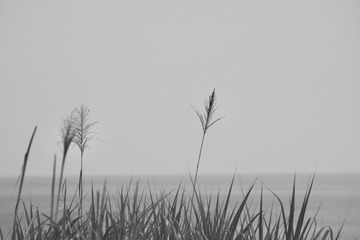 7CCEE4A7-8531-4A93-86DF-E7253301D44C/L0/001