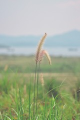 33887211-870D-4D5E-8BAB-7C66EADDCA78/L0/001