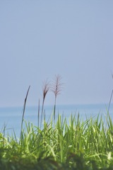 B8EDBF2E-D89A-48B8-A92A-FA0A47F8CC20/L0/001