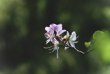 932C35F0-00B7-4921-B8EC-D555CD2C7B39/L0/001