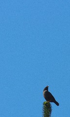 C3E69656-1D82-4DAC-BF2F-49A01B93DB03/L0/001