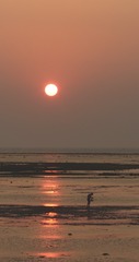 0A8BFDDB-B23A-42B8-93FE-19D9452BE577/L0/001
