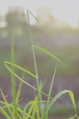 781A6167-D2F3-4CB1-9B6C-0B87F6256BBD/L0/001
