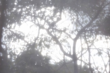 1000005126