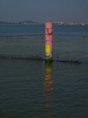 120650