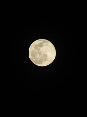 FA731382-DDC9-45AC-968D-9FF0101144D7/L0/001