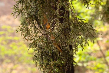IMG_3913