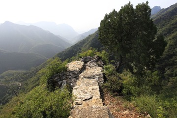 山景